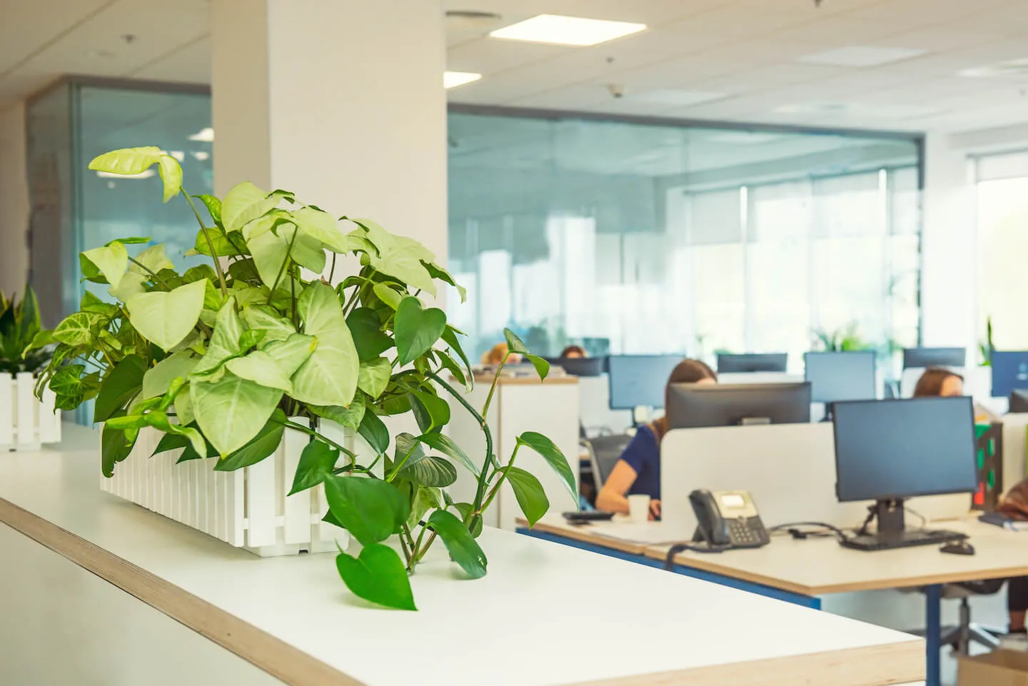Peaceful planning workspace with notebook and plants representing calm habit formation